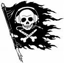 pirate numerique hadopi2