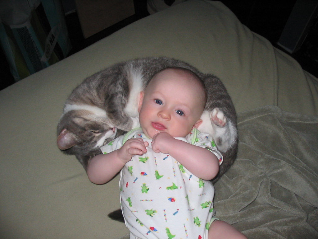 chat et bébé