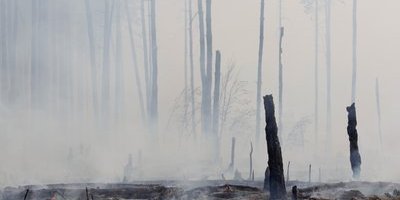 544399_burned-down-forest-is-seen-near-the-settlement-of-berestyanki