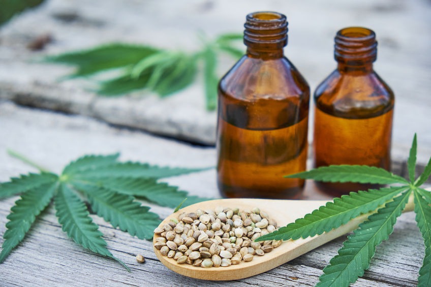 graine cannabis