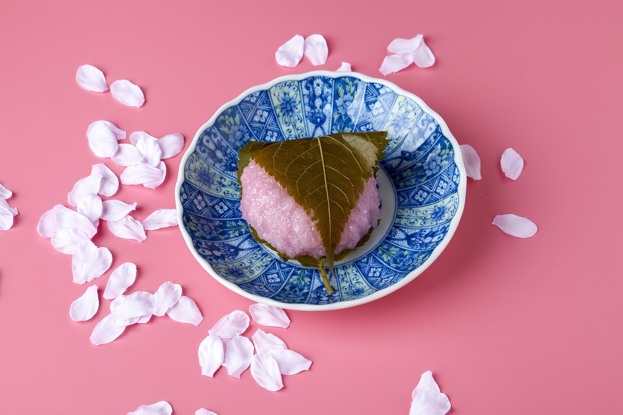 délice japonais - mochi